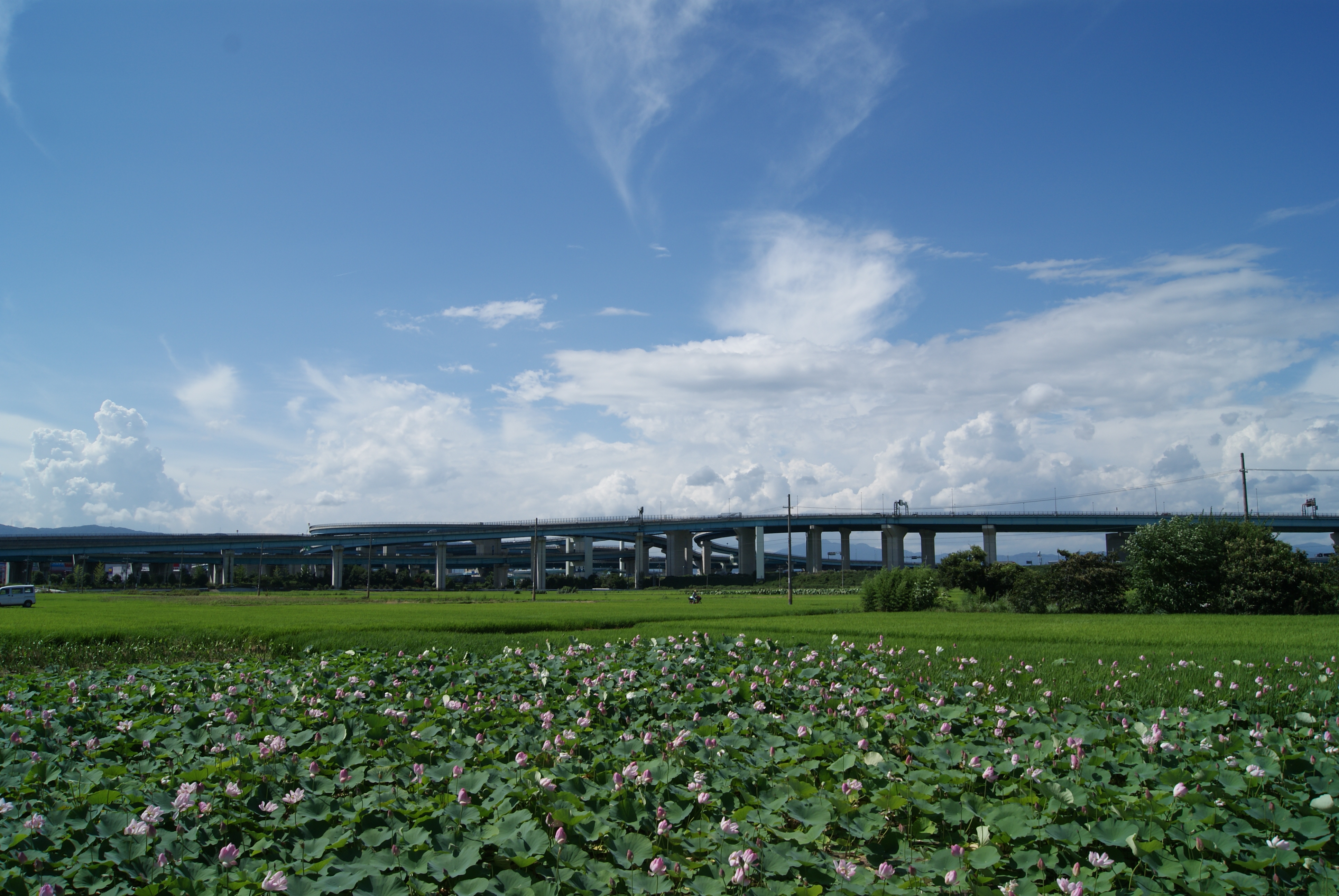 久御山町画像1